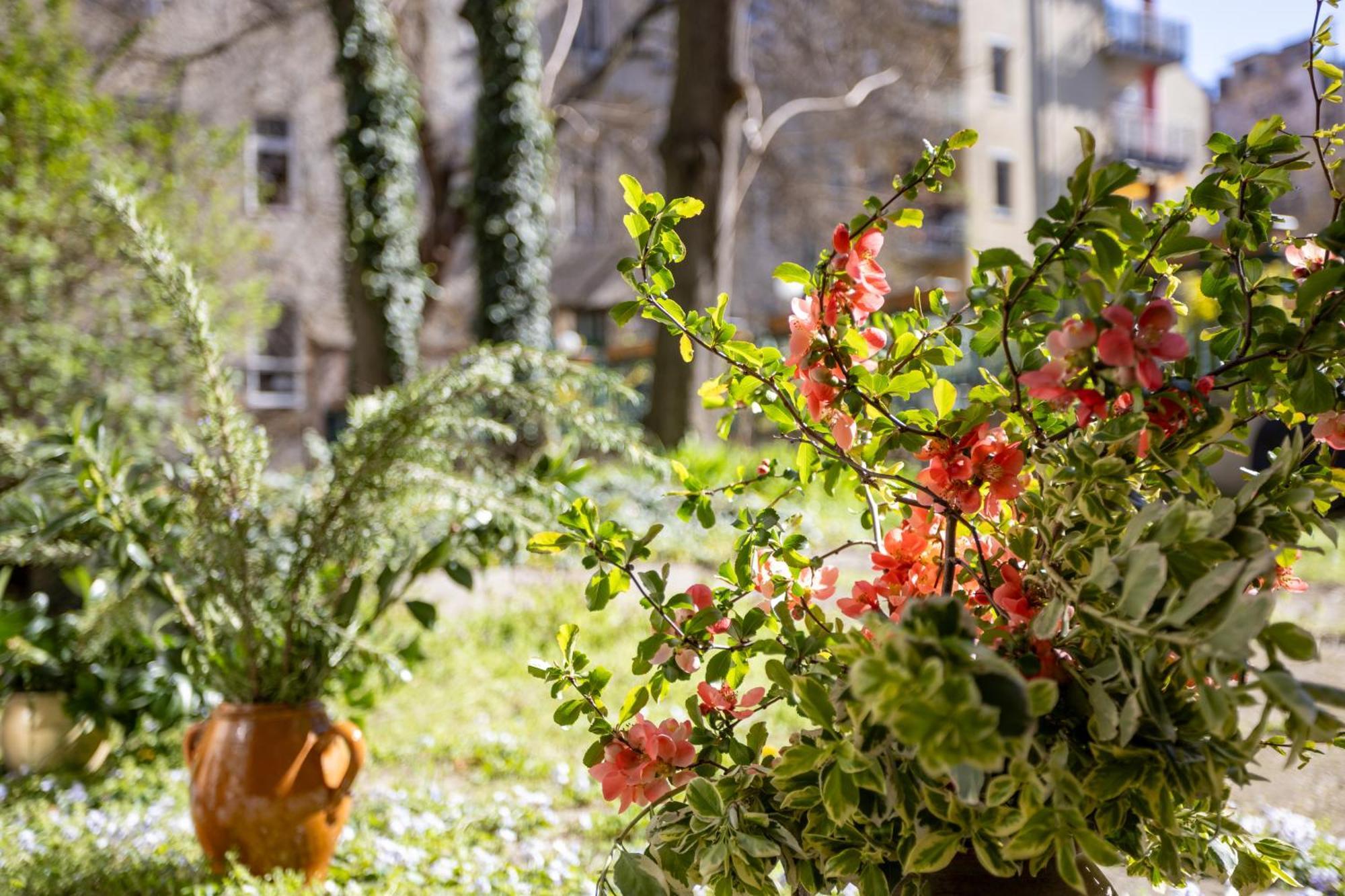 Ginkgobiloba The Green Harmony Apartment بودابست المظهر الخارجي الصورة